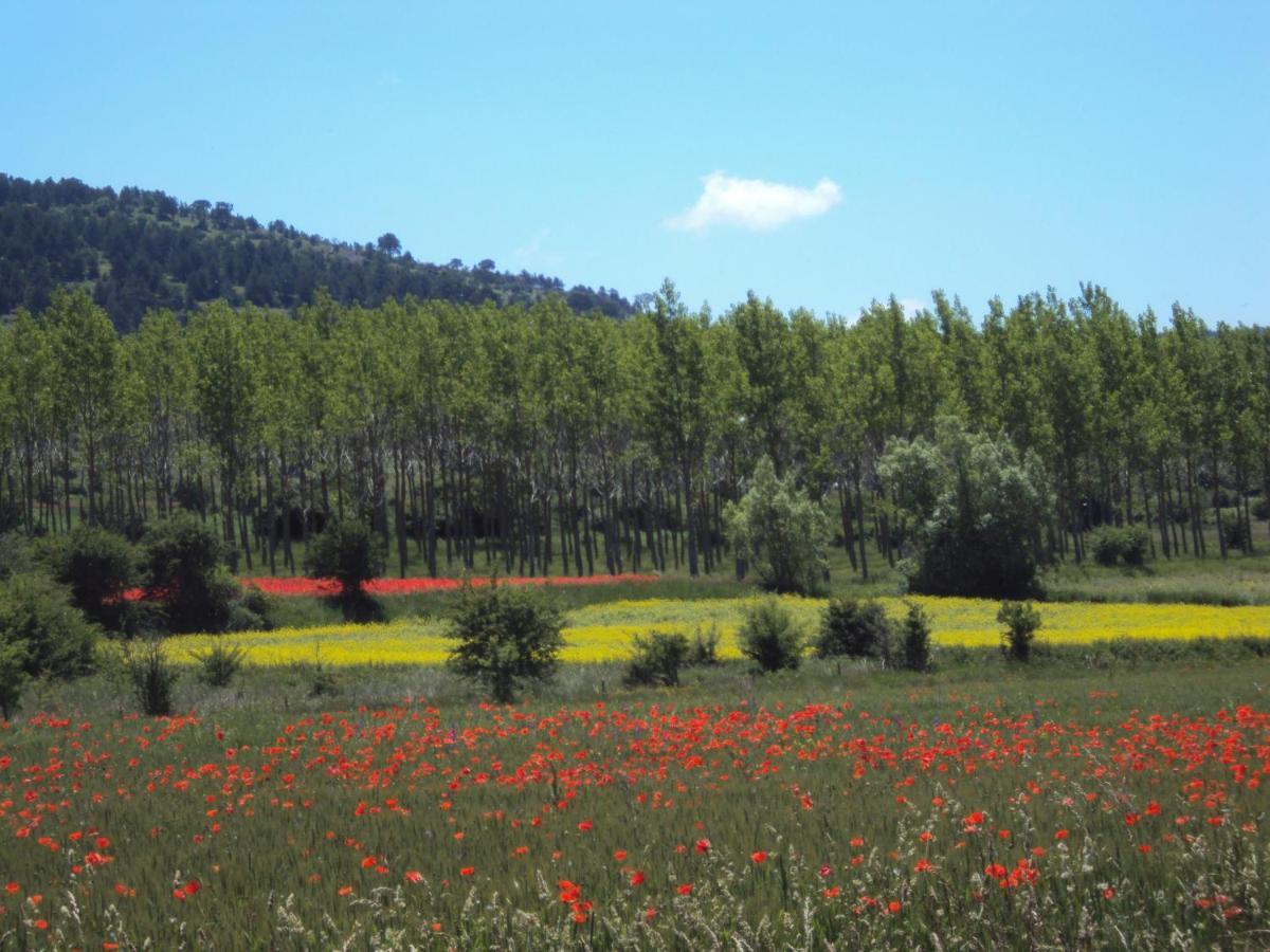 Alcala De La Selva Apartment *